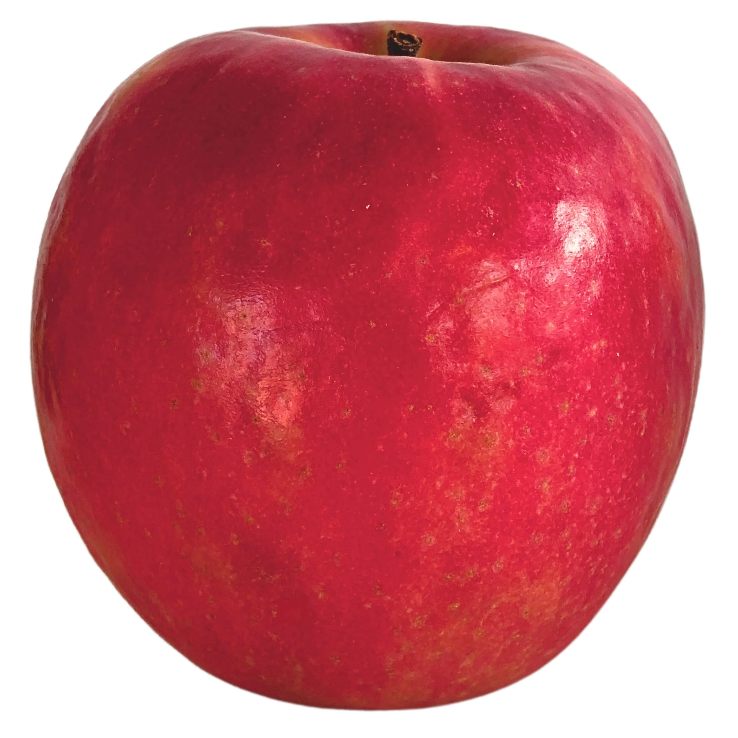 Macintosh Apples — K. Schlegel Fruit Farm, LLC